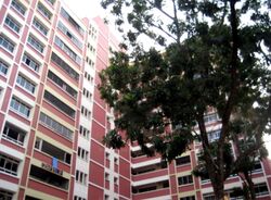 Blk 250 Pasir Ris Street 21 (Pasir Ris), HDB Executive #437989351